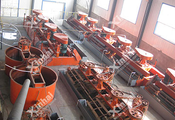 Shandong molybdenum and tungsten ore flotation project